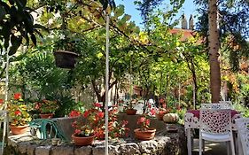 Borgo San Lorenzello